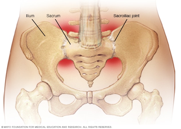 Illustration showing sacroiliac joints