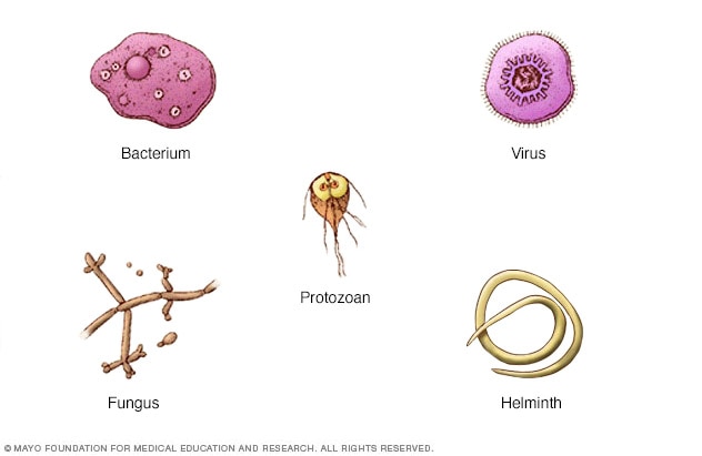 Types of infectious agents