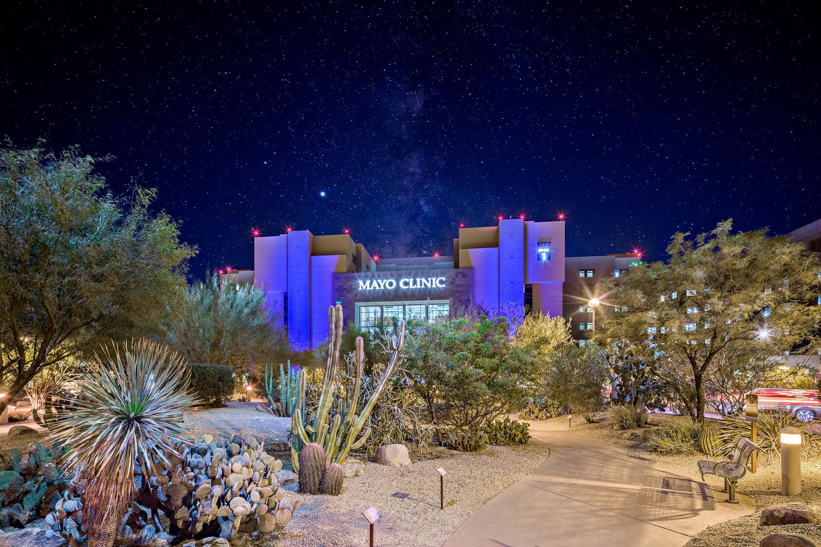 Mayo Clinic Arizona building illuminated at night with desert landscaping and starry sky. 