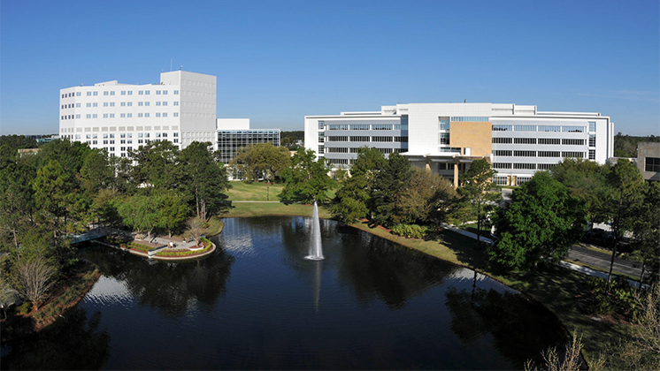 Mayo Clinic hospital in Florida exterior on a sunny day.